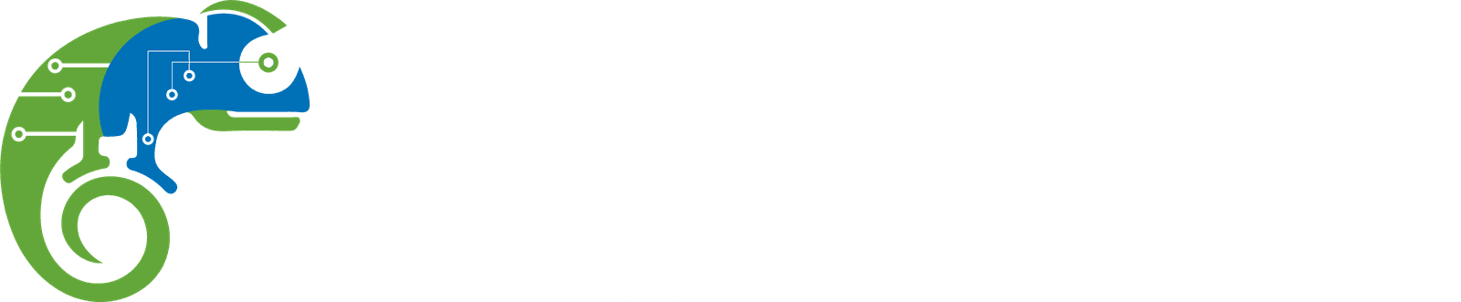 Digitalizer